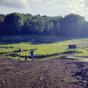 Meet your Posher, Austin